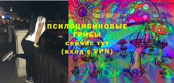 стафф Алексин