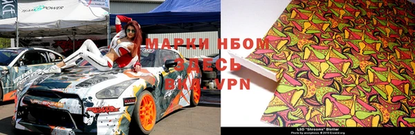 стафф Алексин