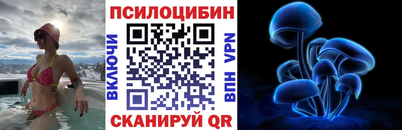Псилоцибиновые грибы Psilocybine cubensis  даркнет сайт  Куртамыш 